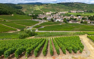 Holiday cottages in Burgundy, contact the owners direct