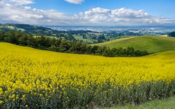 Holiday cottages in Yorkshire Wolds, contact the owners direct